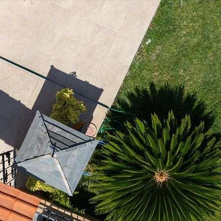 Aigli Luxury Studios Nea Roda Luaran gambar